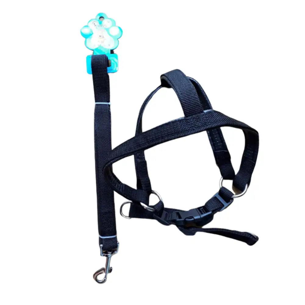 20240626112843_41867822.jpg